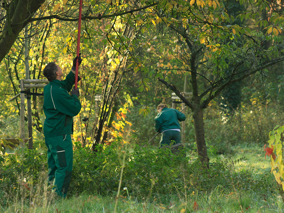 Gartenarbeit