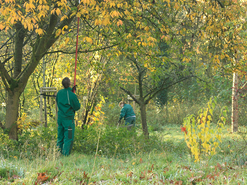 Gartenpflege