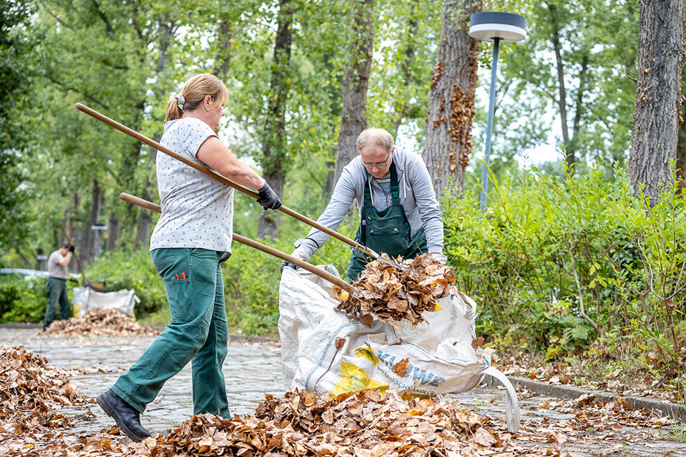 Gartenarbeiten