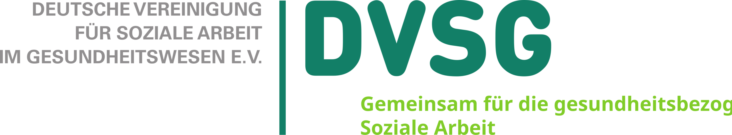 DVSG Logo