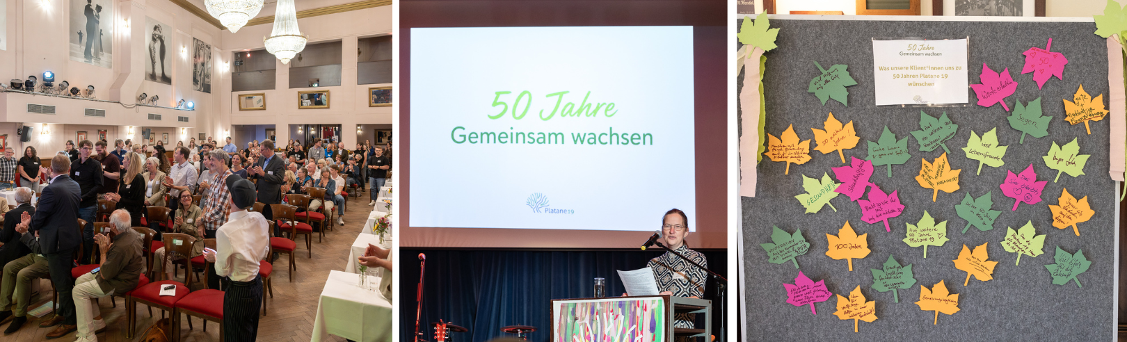 Jubiläum 50 Jahre Platane 19